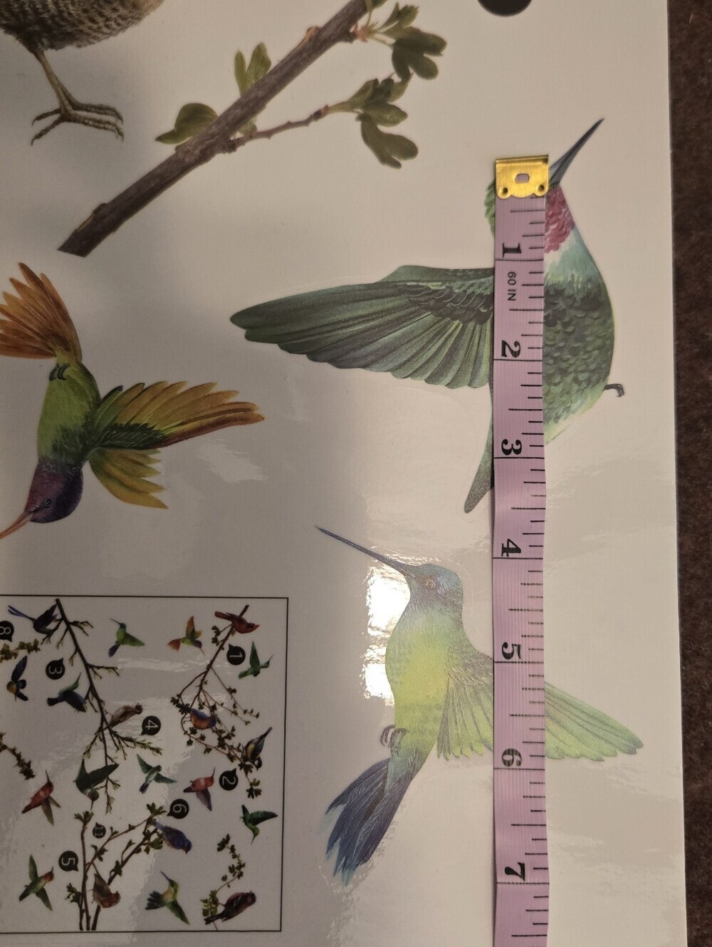 Bird & Branch Vinyl Window Clings Reusable No Adhesive - Picture 2 of 11